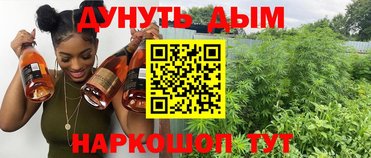 Каннабис гибрид Пыть-Ях